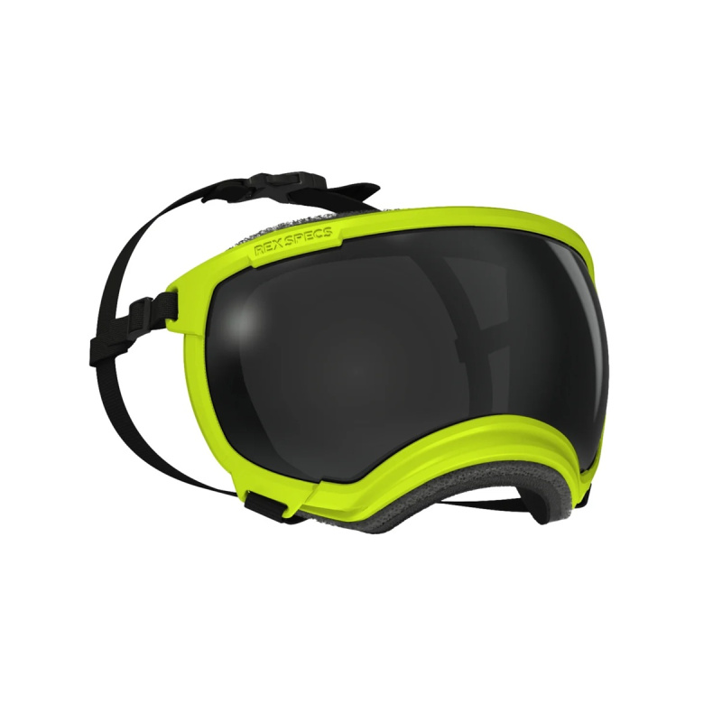 Rex Specs Googles V2 - ochranné brýle pro psy Barva: Žlutozelená, Velikost: XL