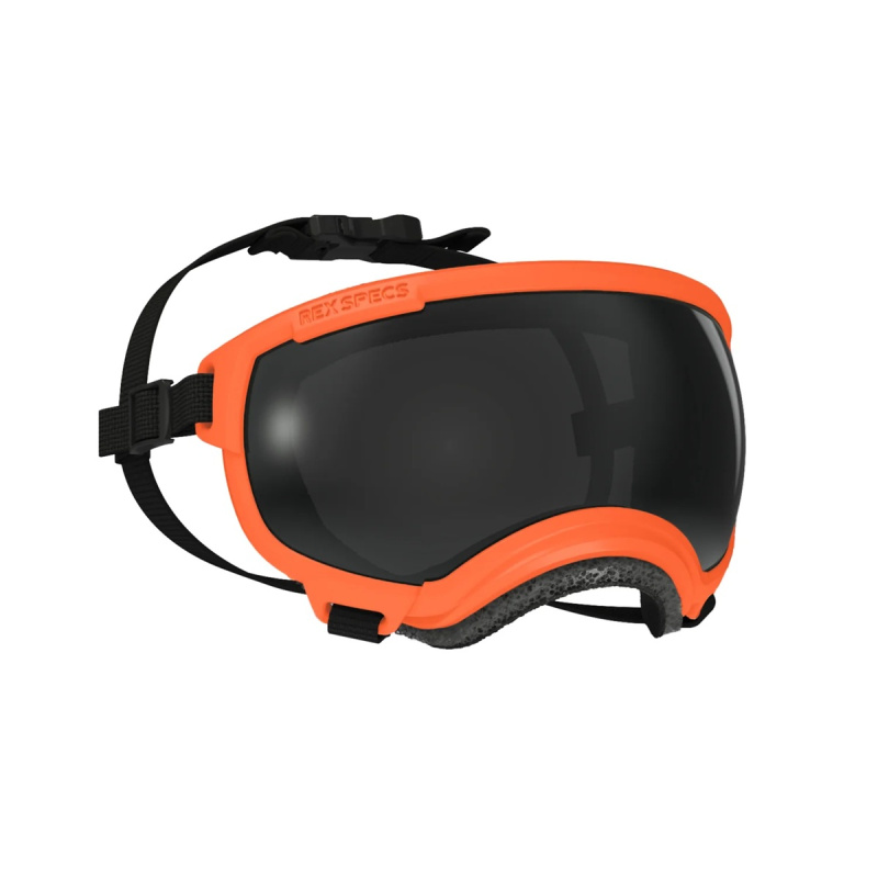 Rex Specs Googles V2 - ochranné brýle pro psy Barva: Oranžová, Velikost: M