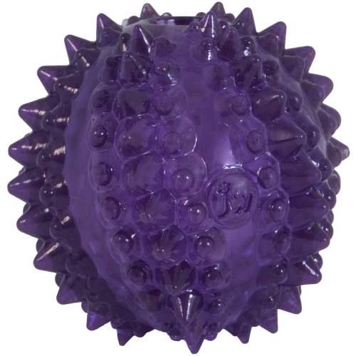 Hračka pro psy - JW Puppy - Bristl-ee Cactus Ball