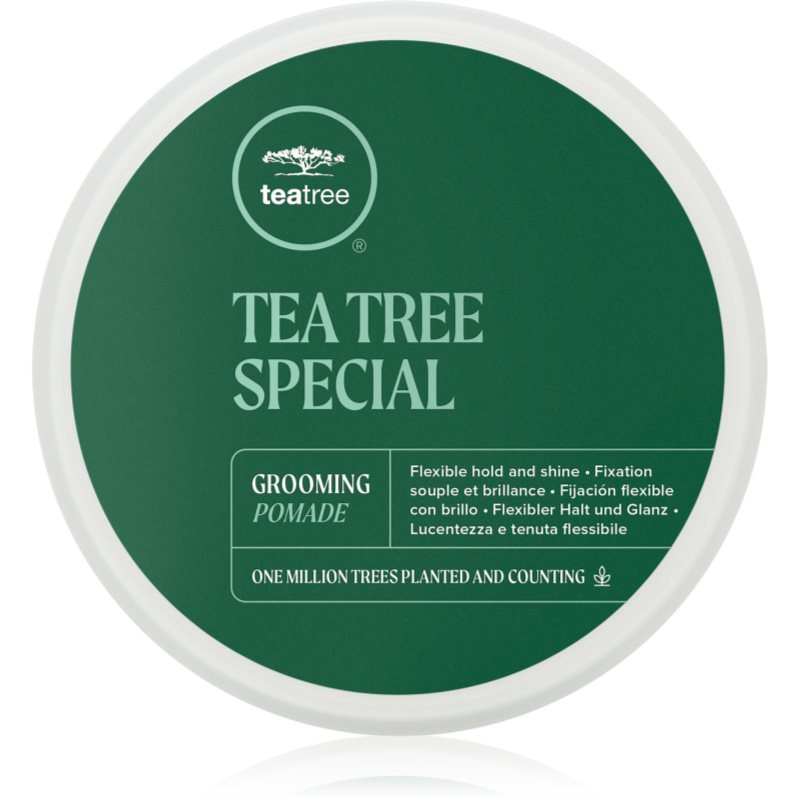 Paul Mitchell Tea Tree Special Grooming Pomade pomáda na vlasy pro definici a tvar 85 g
