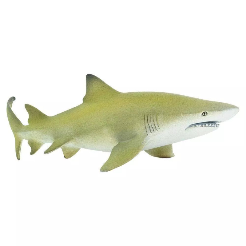Figurka žraloka citronového Safari Ltd.