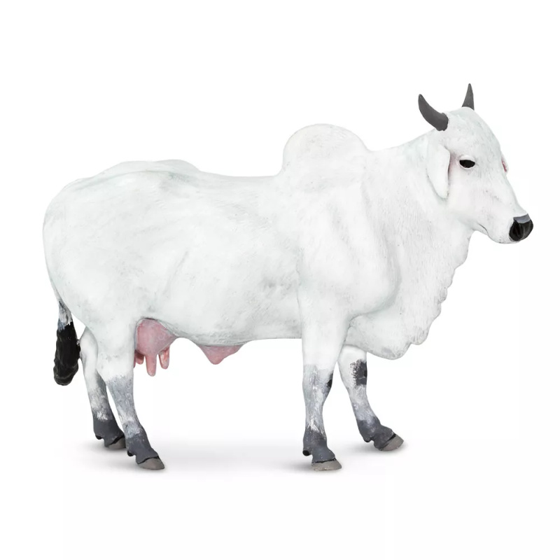 Figurka tura domácího (zebu) Safari Ltd. - 1 kus