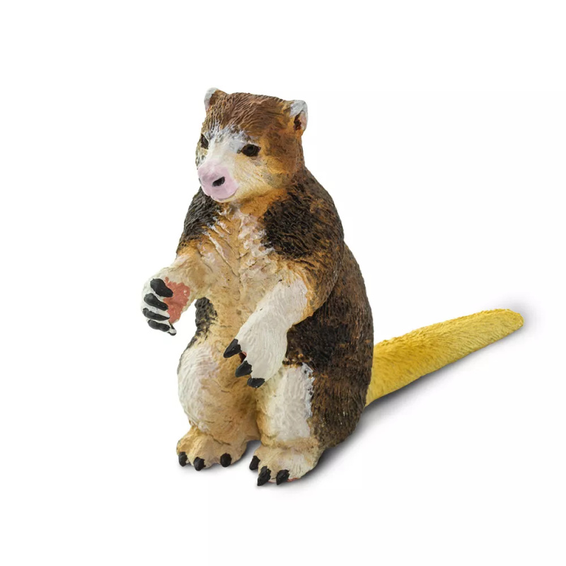 Figurka klokana matschieova Safari Ltd.