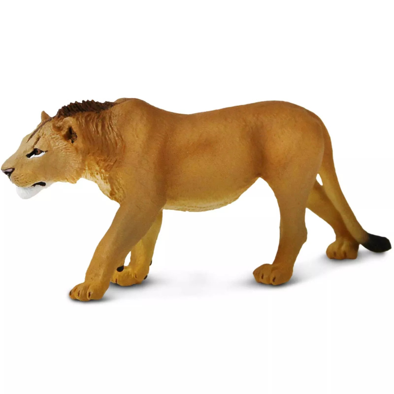 Safari Ltd. figurka dospívajícího lva - 1 kus