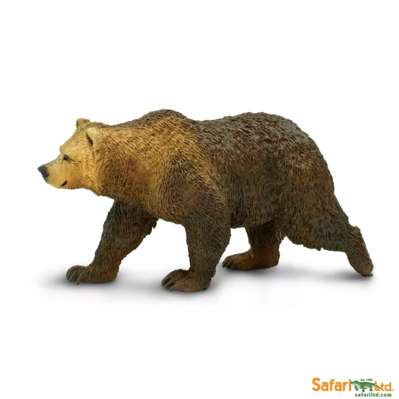 Medvěd grizzly