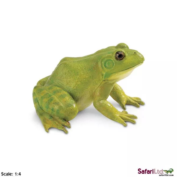 Skokan volský – figurka - 1 kus