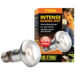 Žárovka EXO TERRA Intense Basking Spot 75 W