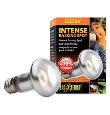 Žárovka EXO TERRA Intense Basking Spot 75 W