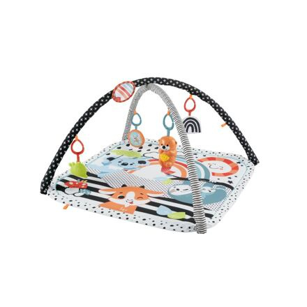 Mattel Fisher Price HRACÍ DEČKA S VYDROU 3 V 1