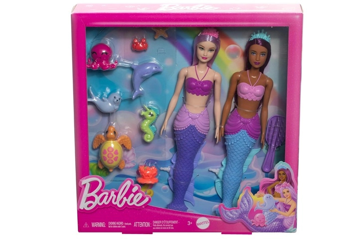 Barbie Dreamtopia herní sada se 2 panenkami a zvířátky