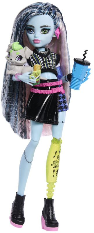 Monster High Frankie Stein panenka 26 cm s doplňky a mazlíčkem