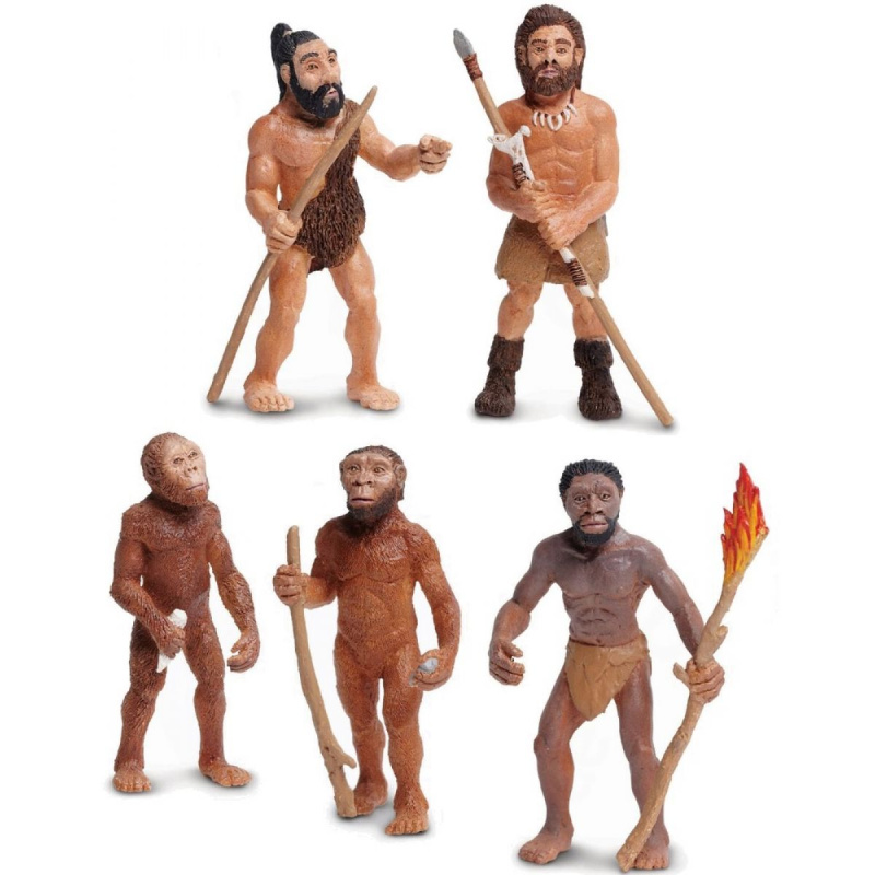 Safari Ltd Vývoj člověka