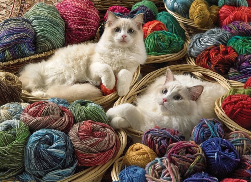 Puzzle Kočka Ragdoll 1000 dílků Cobble Hill