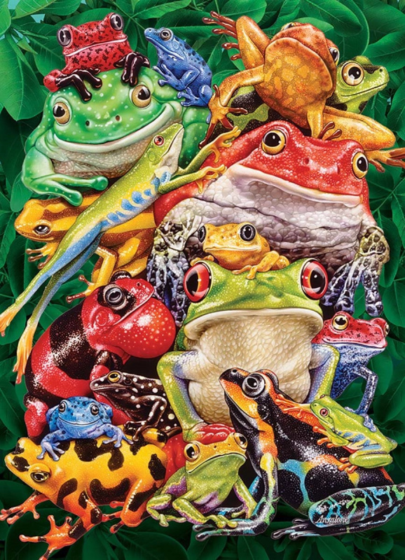 Puzzle Žabí Byznys 1000 Dílů
