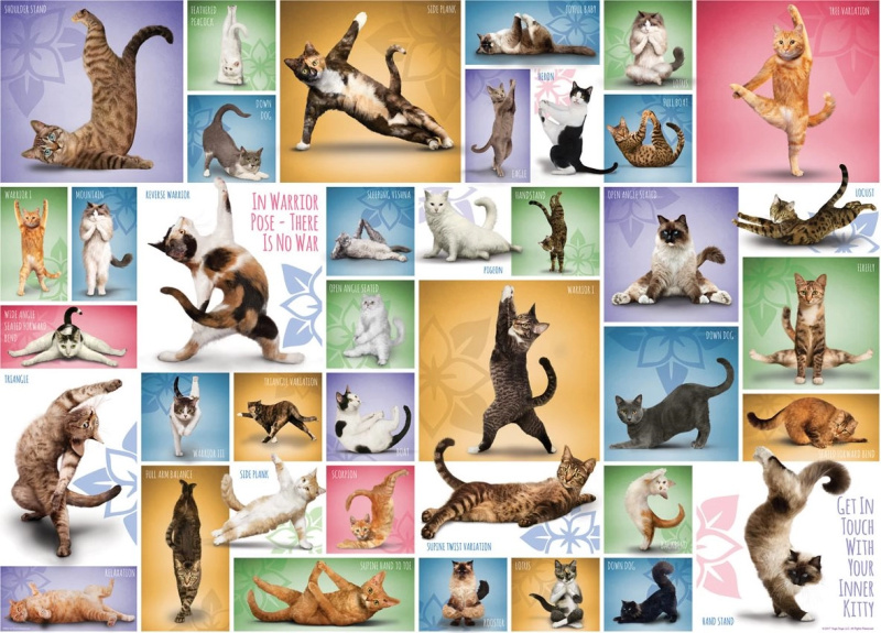 Puzzle Kočičí jóga 1000 dílků