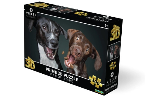 Puzzle 3D - Psi
