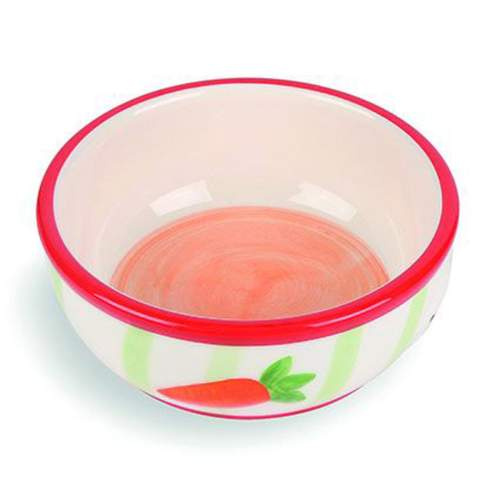 Miska s mrkvovým motivem pro křečky a morčata