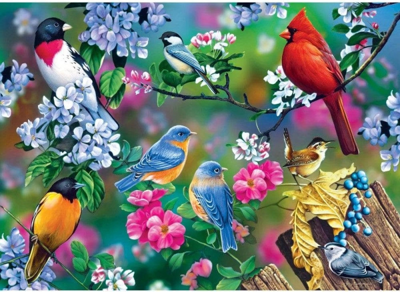 Masterpieces puzzle Audubon koláž zpěvných ptáků 1000 dílků