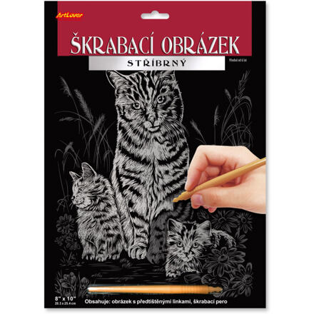 SMT Creatoys Škrabací obrázek stříbrný A4 3 druhy