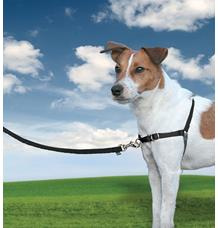 PetSafe® Postroj EasyWalk černý S