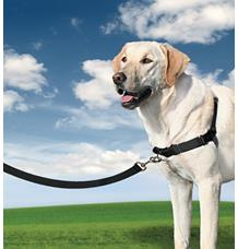 PetSafe® Postroj EasyWalk černý M