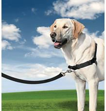 PetSafe® Postroj EasyWalk černý L