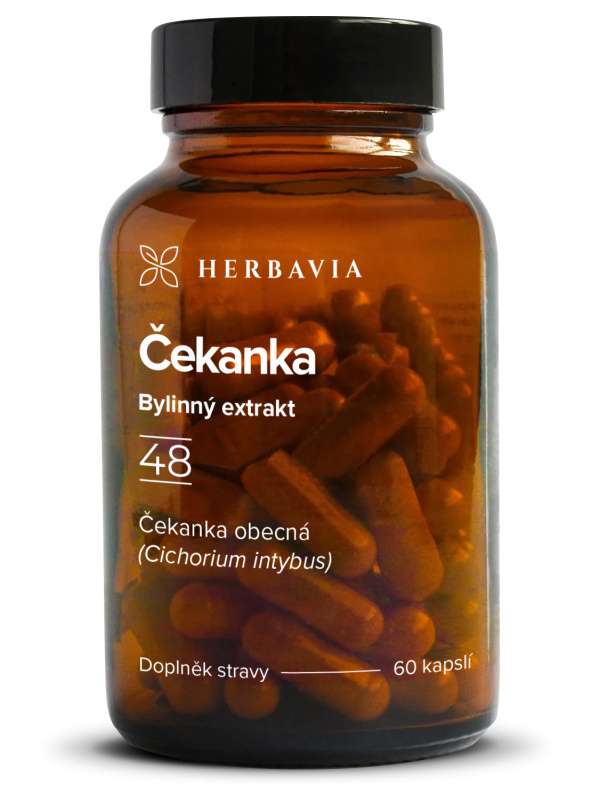 Herbavia Čekanka, 60 kapslí