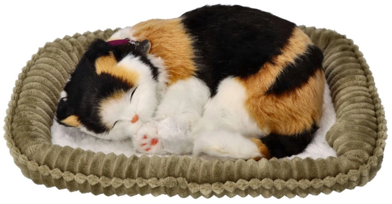 Adoptuj mě tříbarevné dýchací koťátko