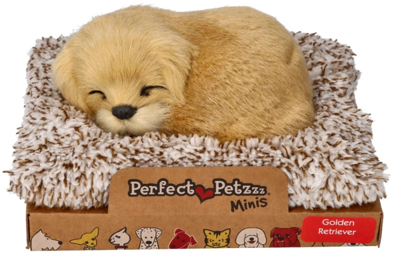 Štěkající zlatý retrívr na pelíšku