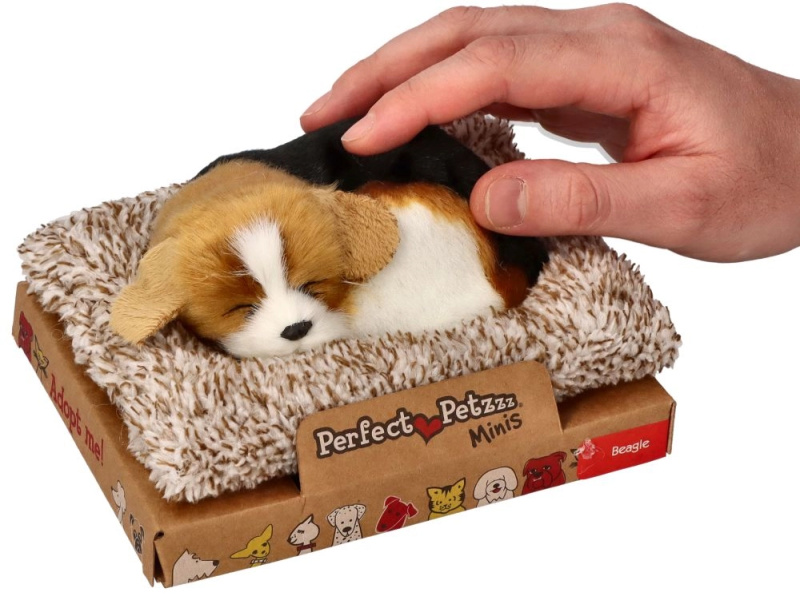 Štěkající beagle na pelíšku