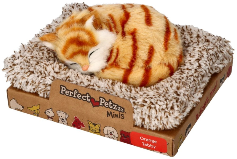 Perfektní Petzzz Malý pruhovaný zrzavý koťátko