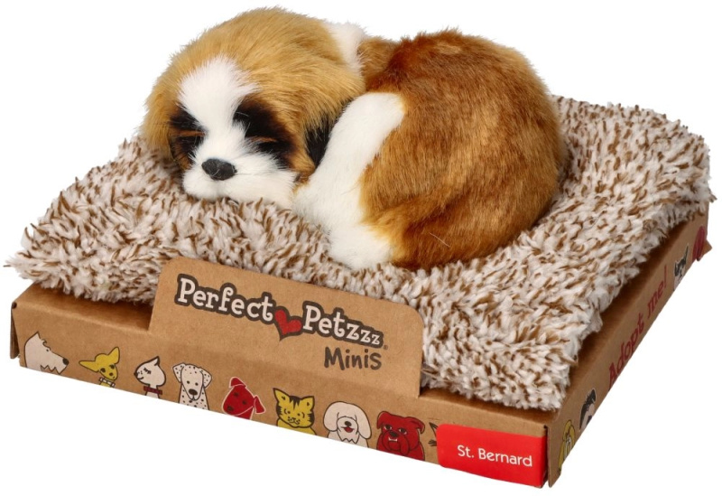 Štěkající mini bernardýn na pelíšku