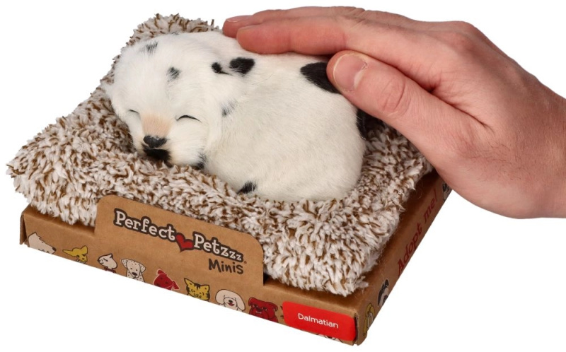 Štěkající dalmatin na pelíšku