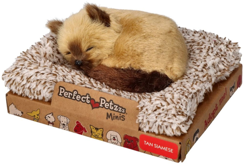 Roztomilý malý kociák Siamák