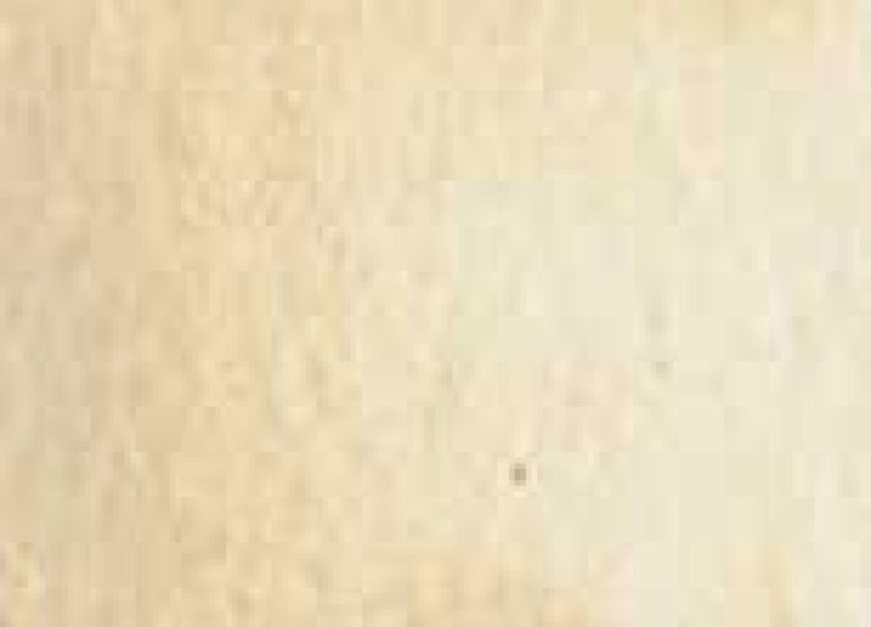 Akvarelová barva DS 15ml – 009 Buff Titanium