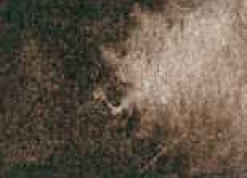 Akvarelová barva DS 15ml – 097 Raw Umber