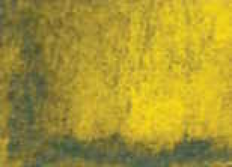 Akvarelová barva DS 15ml – 099 Rich Green Gold
