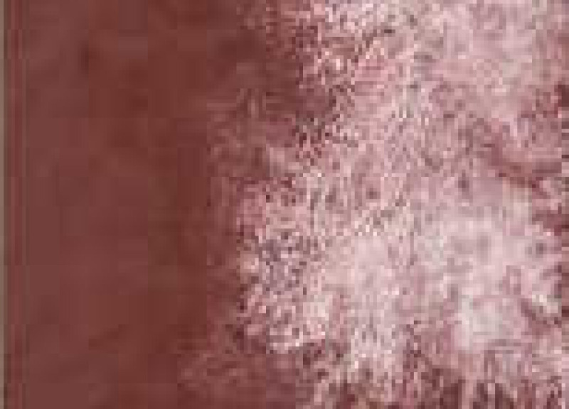 Akvarelová barva DS 15ml – 141 Lunar Red Rock