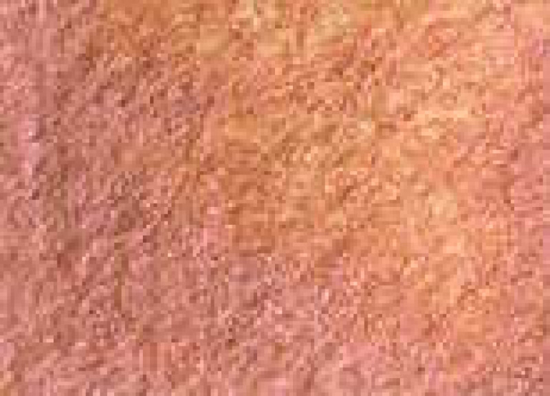 Akvarelová barva DS 15ml – 4047 Duochrome Autumn Mystery