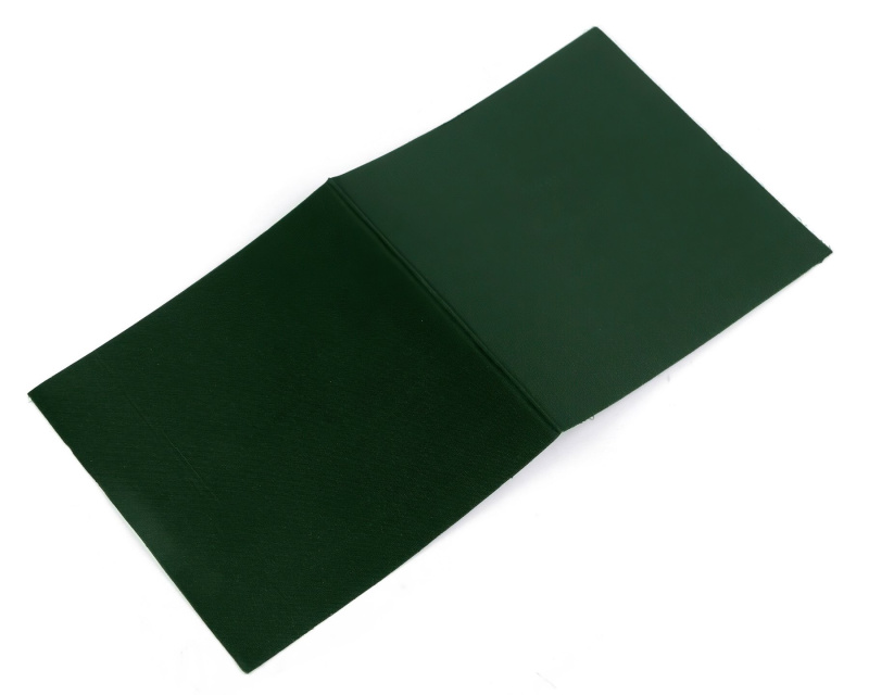Stoklasa Samolepící záplata, nylonová voděodolná, 390638/7 (524), temná zelená, 10x20cm