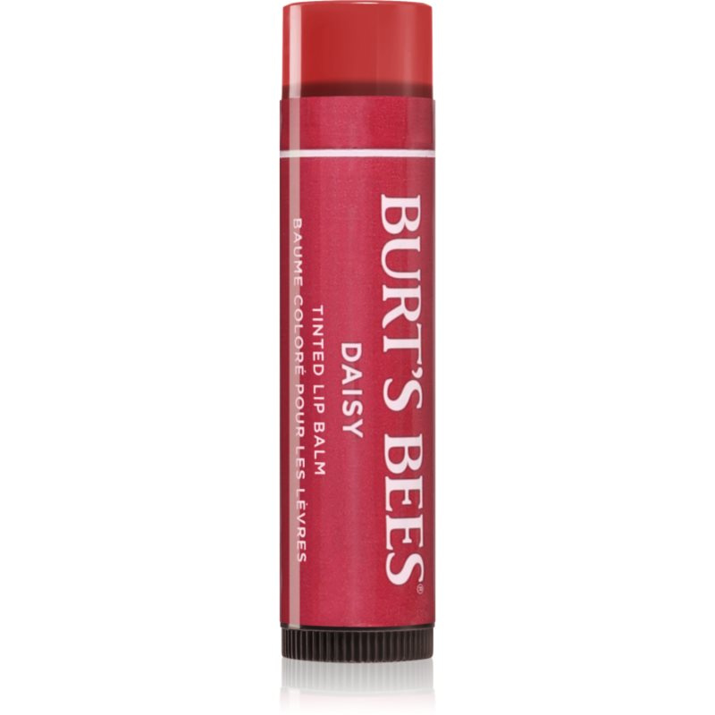 Burt’s Bees Tinted Lip Balm balzám na rty odstín Daisy 4.25 g