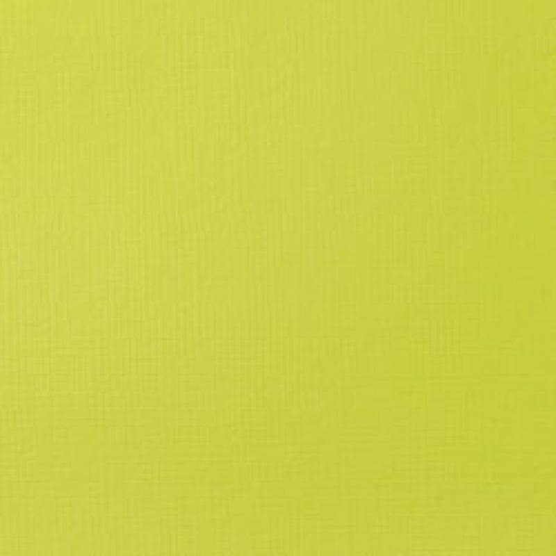 Akrylová barva Basics 118ml – 840 brilliant yellow green