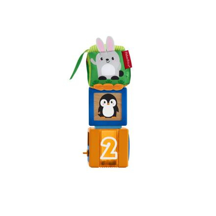 Mattel Fisher Price Kostky pro rozvoj smyslů