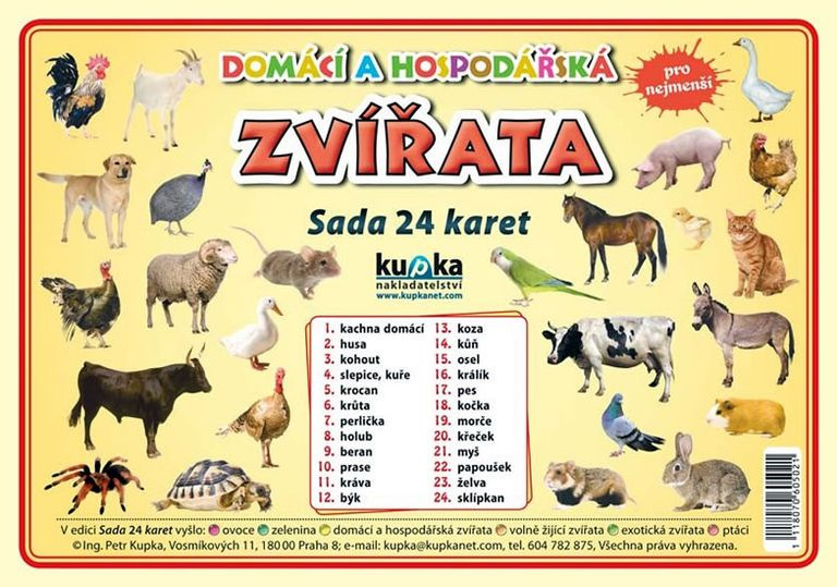 Domácí a hospodářská zvířata - Sada 24 karet - Petr Kupka - kniha z kategorie Učebnice a slovníky
