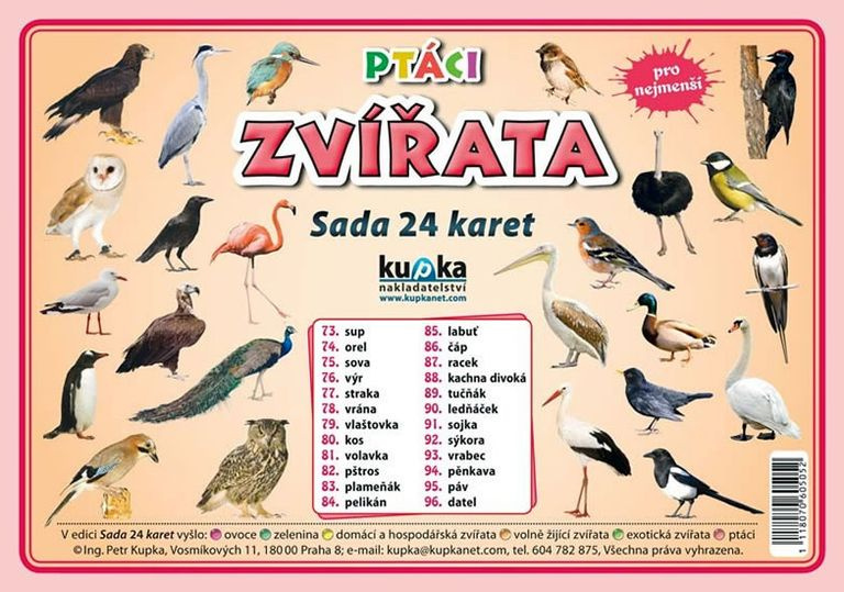 Ptáci zvířata - Sada 24 karet - Petr Kupka - kniha z kategorie Učebnice a slovníky