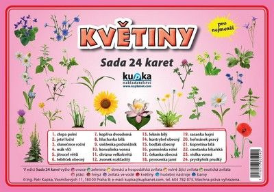 Květiny - Sada 24 karet - Petr Kupka - kniha z kategorie Mateřská škola a předškoláci