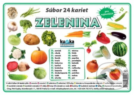 Súbor 24 kariet - Zelenina - kniha z kategorie Učebnice a slovníky