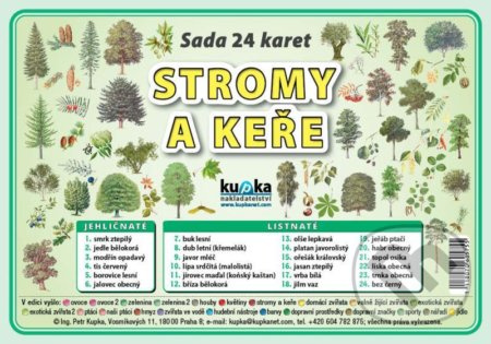 Sada 24 karet - stromy a keře - Petr Kupka - kniha z kategorie 1. stupeň