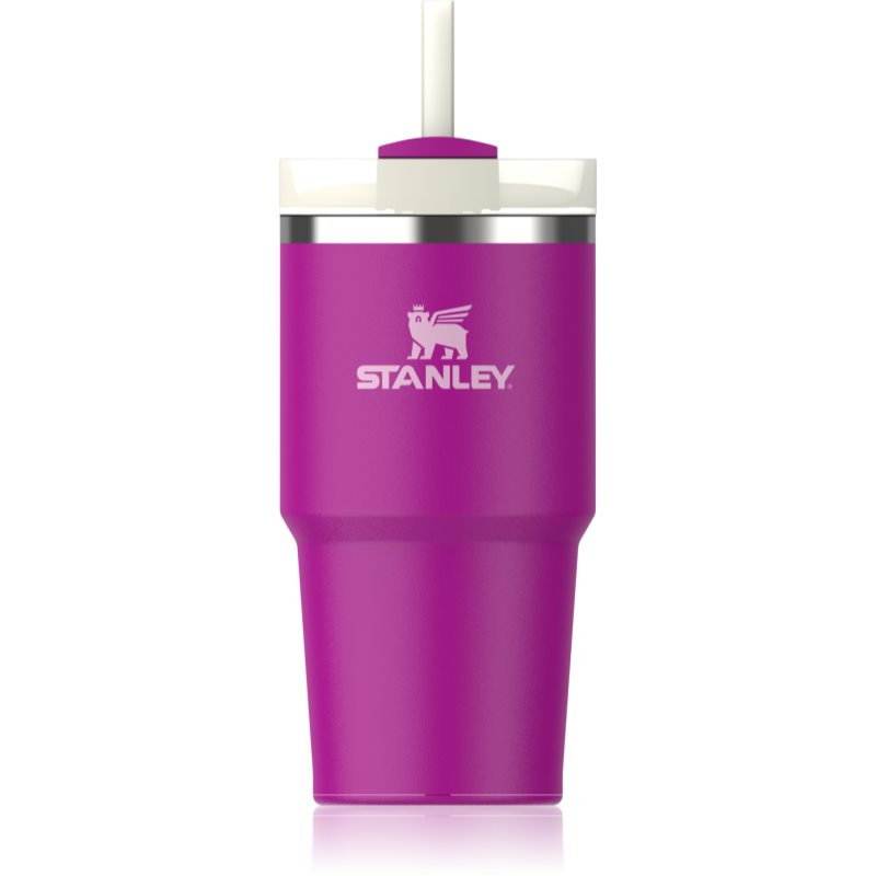 Stanley Quencher H2.O FlowState™ Tumbler nerezový tumbler s brčkem malý Violet Blossom 600 ml