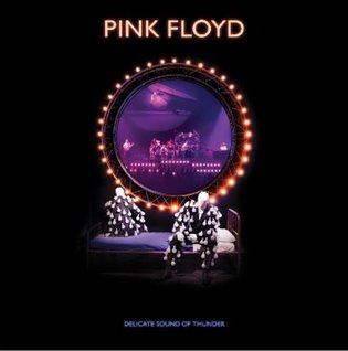 Pink Floyd: Delicate Sound Of Thunder - Reedice 2020